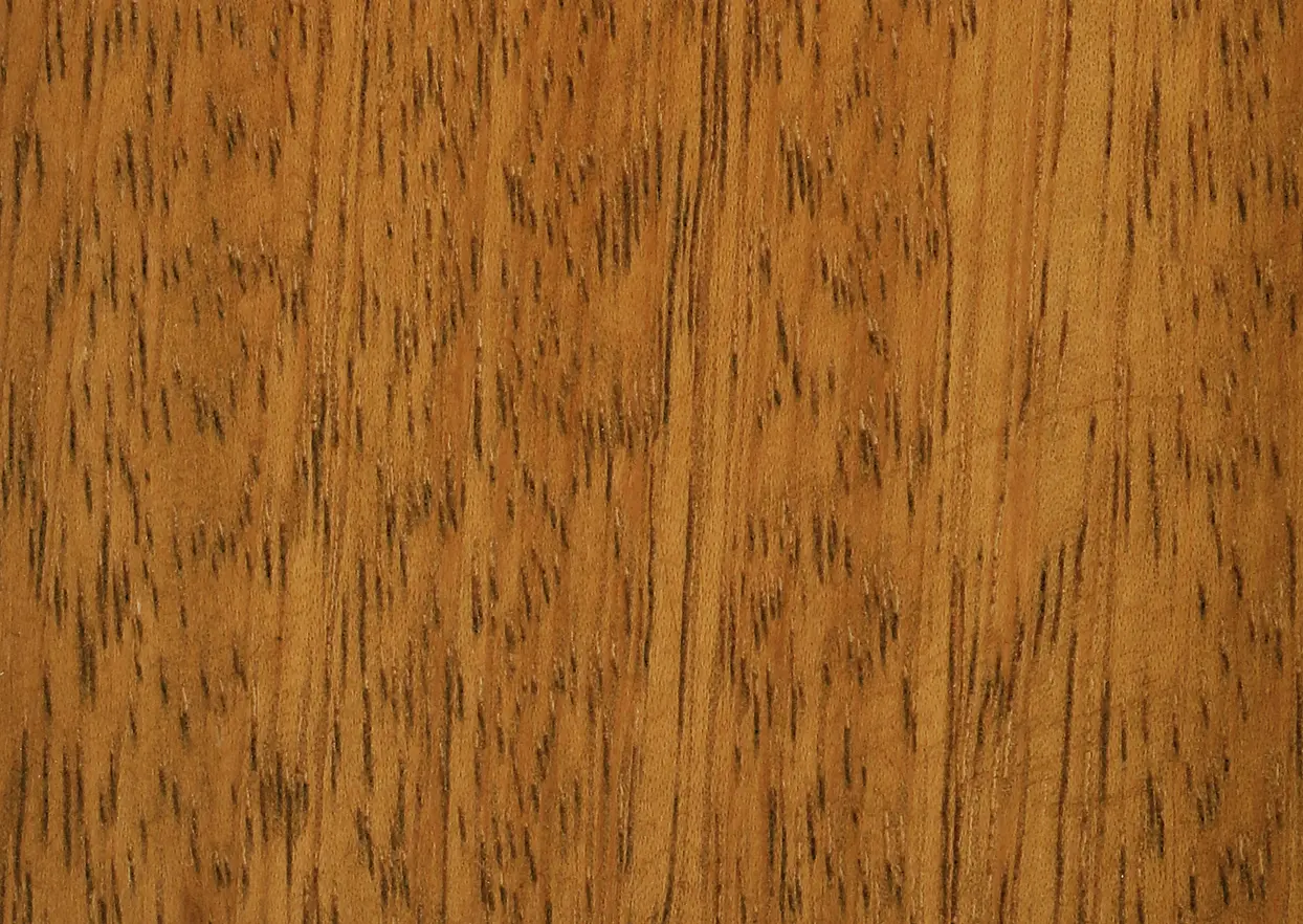 Medium Iroko