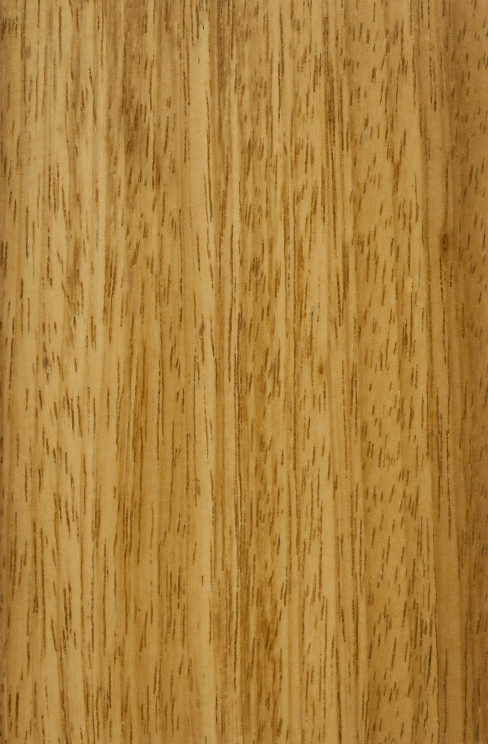 Iroko natural