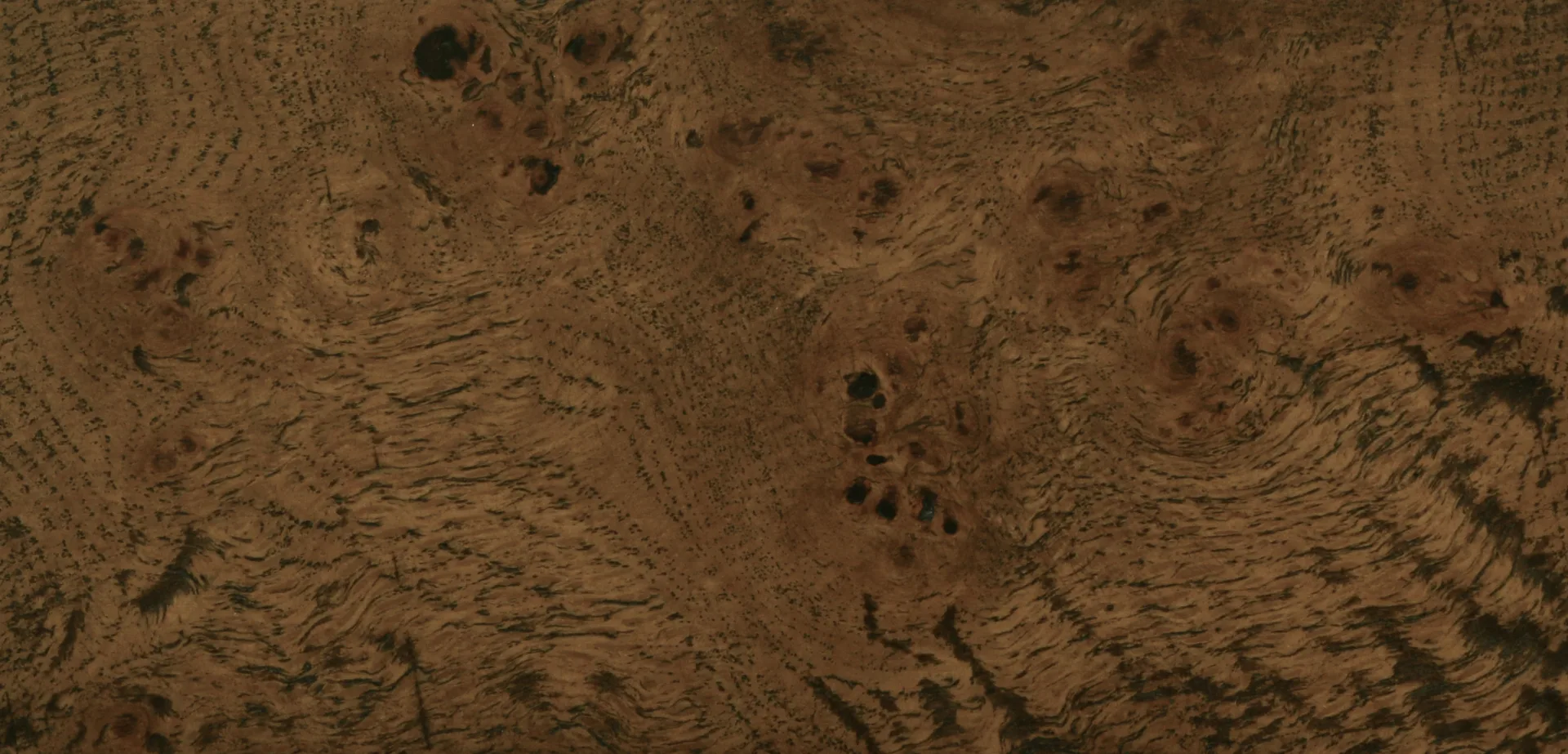 Oak burl dark