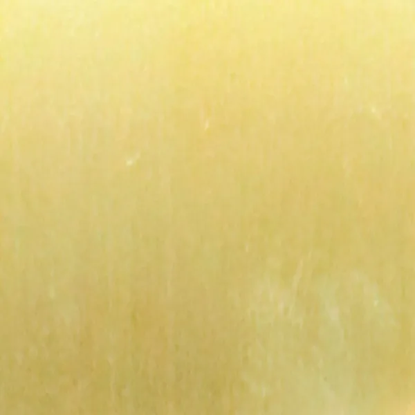 Polished Brass